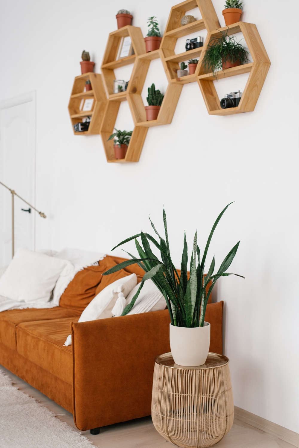 Boho Living Room with Hexagon Shelves